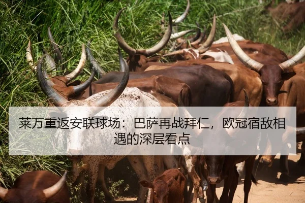 莱万重返安联球场：巴萨再战拜仁，欧冠宿敌相遇的深层看点